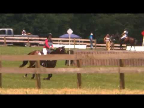 Alana Grace Vogel "Big Bartz" Seneca Valley Pony Club Horse Trials XC/N 6/14/2015