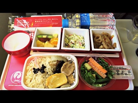 Japan Airlines Economy Class Experience: Flight JL37 Tokyo to Singapore