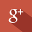 Google+ icon