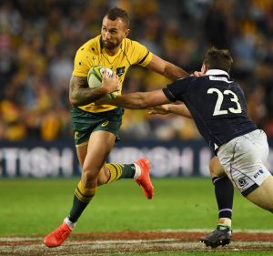 Not enough: Quade Cooper's sharp little cameo against Scotland in June wasn't enough for him to force his way into the ...