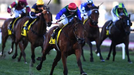 Cup favourite: Murray Baker is happy with Bonneval heading into Saturday's Caulfield Cup. 