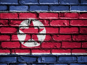 Flag of North Korea or North Korean banner on brick texture