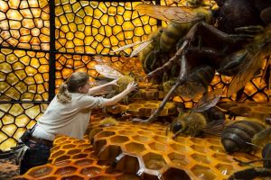 Project supervisor Mona Peters works on the Japanese bee installation, one of the more popular Bug Lab exhibits.