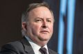 Federal opposition infrastructure spokesman Anthony Albanese condemned Mirvac's proposal on Thursday night. 