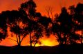 A bushfire near Healesville, on the outskirts of Melbourne on Black Saturday in February 2009. 