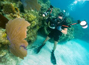 File- Mass Communication Specialist 2nd Class Scott Raegen takes a photo of coral while conducting underwater photography training off the coast of Guantanamo Bay, Cuba.