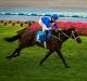 Hugh Bowman on Winx, winning the Cox Plate in 2016.