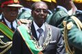 Zimbabwean President Robert Mugabe's appointment to the WHO role was condemned by medical professionals and human rights ...