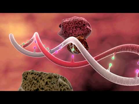 DNA Mutation 3D Animation