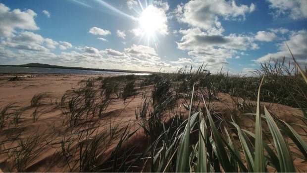 Savage Harbour beach, PEI