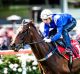 Running scared: Winx in final tune-up for the Cox Plate.