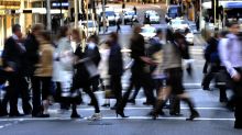 Sydney's professional ranks have grown by a third in the past decade, the 2016 census shows.