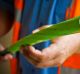 NBN AFR PHOTOGRAPH BY GLENN HUNT 11042013. GENERIC- NBN, optic fibre, optical fibre, technology, internet, high speed ...