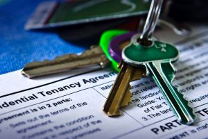 Rental "churn" is the new concerning statistic, tenancy groups claim.