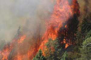 The Rim Fire  (wildfire) in the Stanislaus National Forest near in California