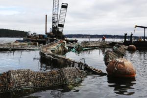 Industrial Ocean Fish Farming — Bad for the Ocean, Fish, and People