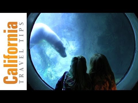 Aquarium of the Pacific - Long Beach