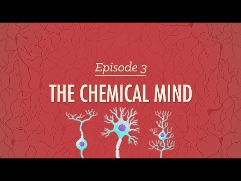 The Chemical Mind - Crash Course Psychology #3