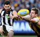 Spoiler: Hawthorn's Kaiden Brand attempts to smother a kick by Collingwood's Alex Fasolo during last season's round 15 ...