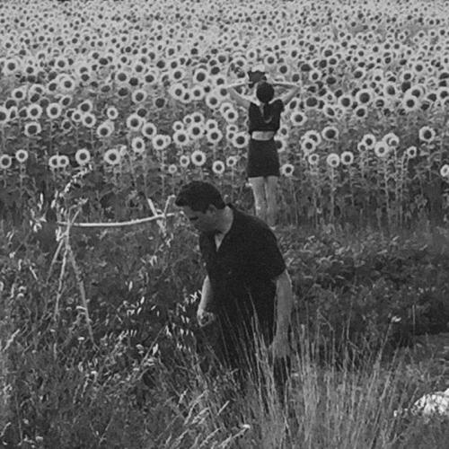 Jesu & Sun Kil Moon - Jesu / Sun Kil Moon (2016)