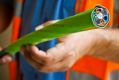 NBN AFR PHOTOGRAPH BY GLENN HUNT 11042013. GENERIC- NBN, optic fibre, optical fibre, technology, internet, high speed ...