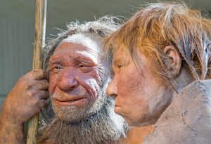 This Friday, March 20, 2009 file photo shows reconstructions of a Neanderthal man named "N", left, and woman called "Wilma", right, at the Neanderthal museum in Mettmann, Germany.