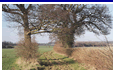 Harcamlow Way, Bamber's Green - much of the long distance path and village would disappear under Runway 2