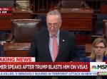 Sen. Schumer Responds To Trump: 'Where Is Your Leadership?'