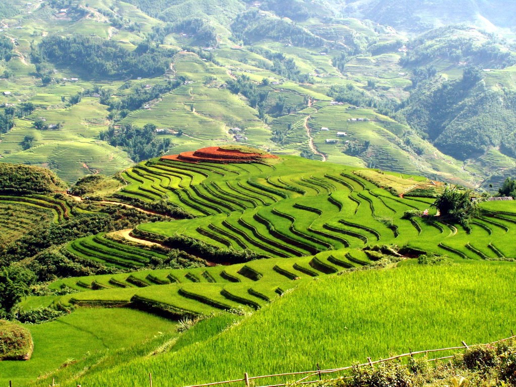 Sapa Vietnam