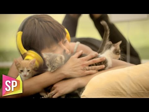 Kitten Therapy: The Prescription for Stress