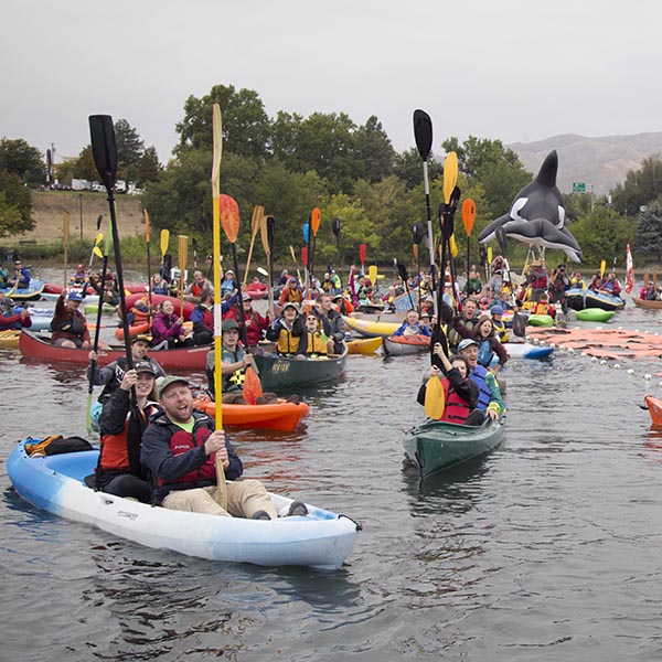 <span class="g-animatedblock-title-small">Restoring the Lower Snake River<br />&nbsp;</span>