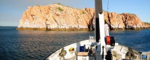  Curt and Micheline-Nicole Jenner share a determination to study and preserve the ocean's iconic whales. 