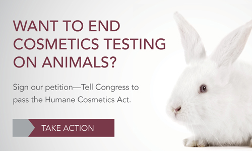 End Cosmetics Testing on Animals