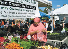 The Columbia City Farmers Market in Seattle.