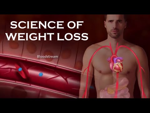 HOW INSULIN WORKS - Science of WEIGHT LOSS