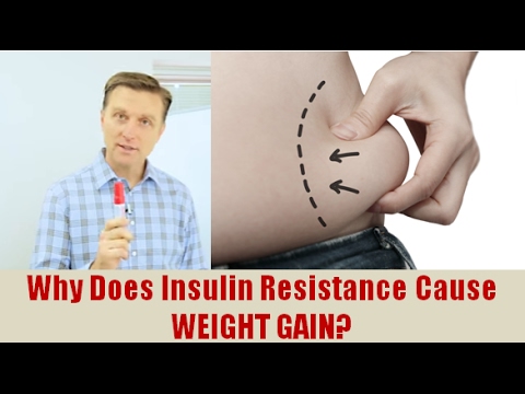 Why Does Insulin Resistance Cause Weight Gain?