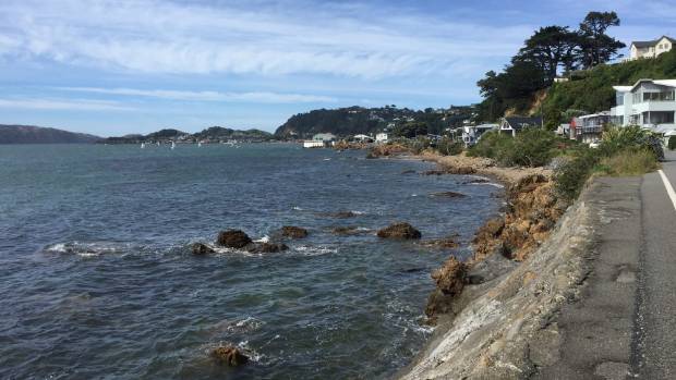 The spot on Karaka Bay Rd, in Wellington, where the body of a 19 year-old who went missing in the Hutt River was discovered.