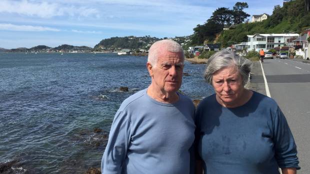 Michael and Sue Barnett saw the body washed up on the rocks outside their home in the Wellington suburb of Karaka Bays.