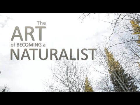 The Art of Becoming a Naturalist