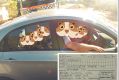 WA Police made this cute edit to protect the privacy of the car's occupants.