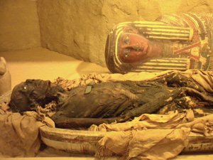 Mummy on display at the Philadelphia Academy of Natural Sciences