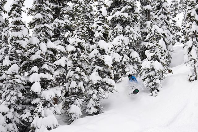 It's time to shred through untouched powder-Eagle Ridge is now open! 🙌

Photo by: @marmotbasin 
#VentureBeyond #MyJasper #WeLoveWinter