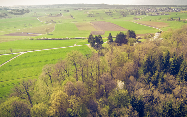 Die Trauerphasen