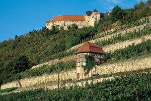 Freyburg, vineyards and Neuenburg Castle