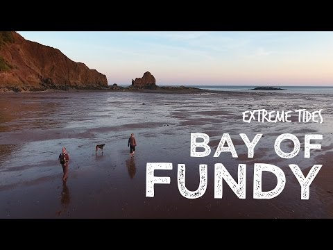 Bay of Fundy tides