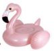 Recall: ALDI Crane Sports Inflatable Pegasus and Flamingo