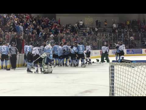 Alaska aces vs Idaho steelheads 2017 bench brawl crazy echl hockey