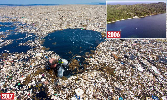 Idyllic Caribbean island has been ruined by rubbish