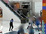 A suspected shoplifter was shot by a police officer at an Arlington mall after allegedly reaching for a replica handgun. The male suspect was thought to have been stealing sunglasses at the mall Texas, when an officer opened fire, believing the replica gun to be real