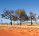 While the outback holds a special place in many Australian hearts, there would be few keen to trade urban comforts for ...